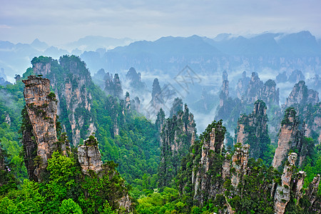 中国张家江山花朵地标石头森林薄雾游客公园岩石植物山脉图片