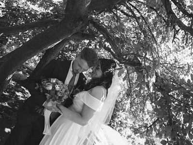幸福的结婚夫妇在植物园公园散步 粮食效果真品拥抱花束情怀妻子蜜月公园套装丈夫阳光婚姻图片