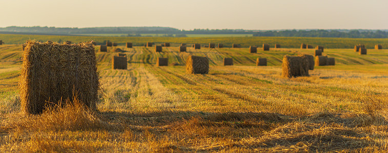在金色日落的阳光下场地天空土地云景收获农场收成面包农业稻草图片