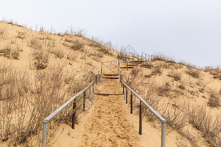 楼梯升起到沙沙沙丘 爬上沙漠的顶端国家全景旅行蓝色冒险砂岩晴天天空干旱自然保护区图片