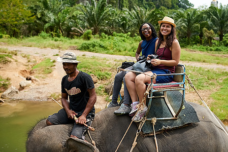 从这里看风景真美 年轻游客骑着大象穿越热带雨林的画像图片