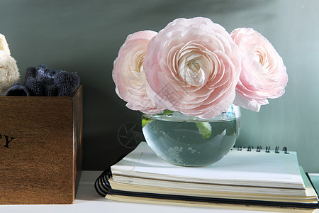 白色窗台上透明圆形花瓶中的三个粉色粉红色彩虹体 复制空间 文本的位置装饰墙纸毛茛风格投标花束花瓣植物园丁礼物图片