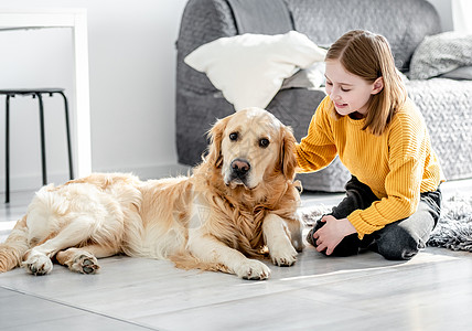 带金皮狗的少女房间日光快乐青春期女性猎犬宠物生活孩子童年图片