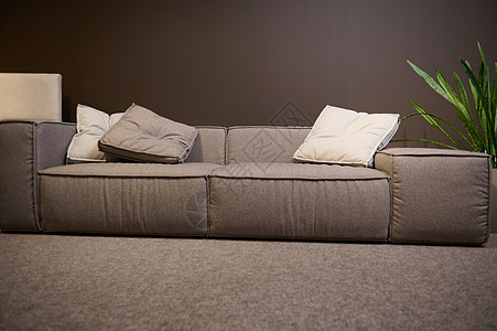 一张由优质面料和软垫制成的大型舒适沙发的正面图 在家具店的陈列室展出出售 家居室内设计 客厅装饰图片