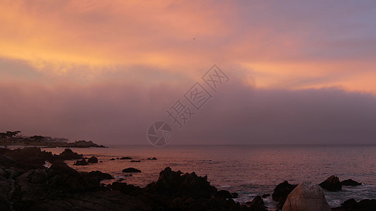 洛基海 海滨 加州海岸 粉红紫色面条日落天空热带海景天空日落海岸线气氛海滩海洋丛林戏剧性图片