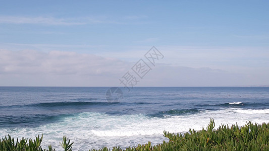 海浪在加州海滩 海水表面 倾斜的植物上撞击着海浪图片