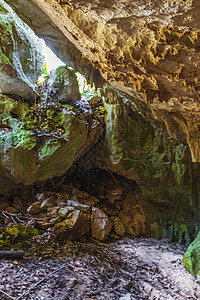 令人惊异的蓝色绿宝石水 和石灰岩洞洞口墨西哥假期岩石通体文化池塘旅行天坑丛林洞穴热带图片