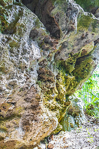 令人惊异的蓝色绿宝石水 和石灰岩洞洞口墨西哥岩石文化天坑石头旅行丛林热带地质学洞穴池塘图片