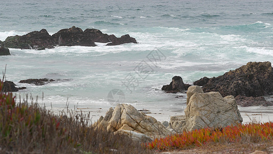 17英里驱动器 加利福尼亚州蒙特里 洛基悬浮的海洋海岸 海浪 稀释剂海滩猪脸动态旅行卵石电影公路荒野植物海岸线图片