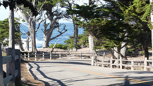 加利福尼亚州蒙特里 西普斯或松树和海洋17英里的风景道路旅行海景半岛旅游晴天树林生态旅游公路卵石海岸线图片