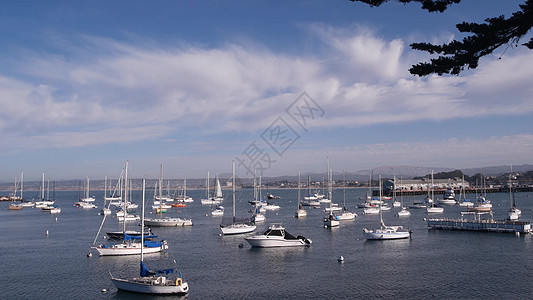 港口或海湾的游艇 蒙特里码头 老渔夫码头 加利福尼亚海岸图片