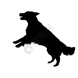 白色背景的狗背影被隔离 宠物狗跳过黑色图标小狗猎犬标识犬类哺乳动物运动停留诡计跑步学校图片