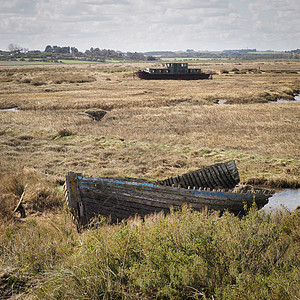 自然保护区盐沼地上的沉船 诺福克图片