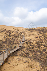 楼梯升起到沙沙沙丘 爬上沙漠的顶端全景荒野砂岩天空国家地形晴天干旱旅行自然保护区图片