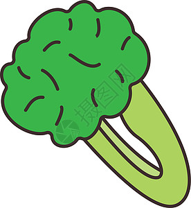 花椰醇生态插图植物饮食卡通片收成市场沙拉花园健康图片