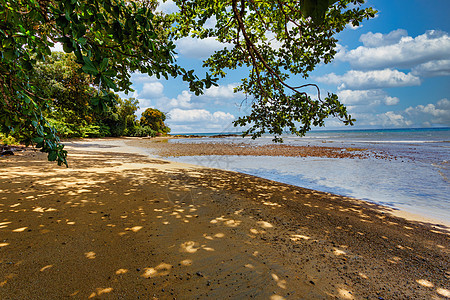 马达加斯加马苏阿拉国家公园海岸的美丽景色 图画冒险目的地天空阳光丛林晴天森林热带旅游半岛图片