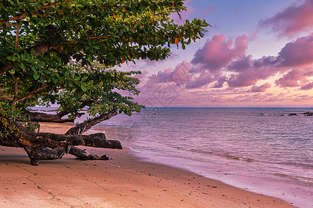 马达加斯加马苏阿拉国家公园海岸的美丽景色 图画丛林目的地天堂热带蓝色支撑半岛地平线假期海景图片