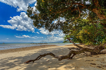 马达加斯加马苏阿拉国家公园海岸的美丽景色 图画旅游海景旅行半岛阳光天空晴天冒险热带全景图片