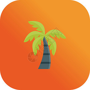 棕榈可可叶子白色假期插图树干海滩天堂热带旅行背景图片