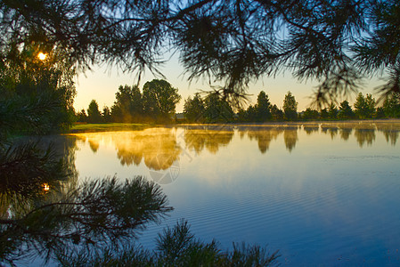 日出时清晨在宁静的湖上喷雾公园阳光农村环境辉光森林太阳地平线池塘树木图片