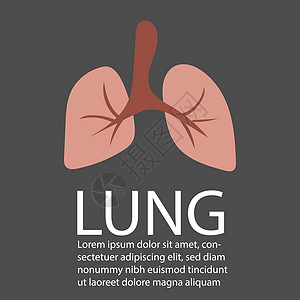 肺矢量与设计空间 说明矢量背景图片