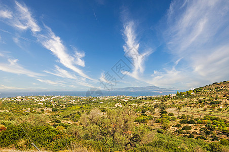 希腊Aegina岛自然 希腊太阳射线风景木头叶子植物支撑阳光晴天旅行图片