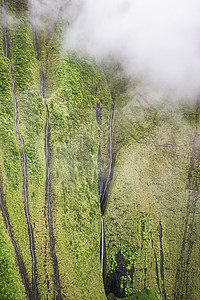 夏威夷米斯提瀑布流过火山丛林图片