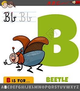 字母 B 从字母表上取B 带有卡通甲虫昆虫动物图片