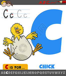 字母C的字母 C 带有卡通小鸡动物字符图片