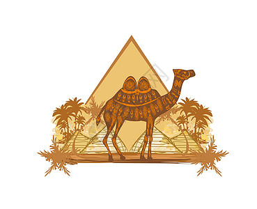 Egypt沙漠中的骆驼 - 横幅图片