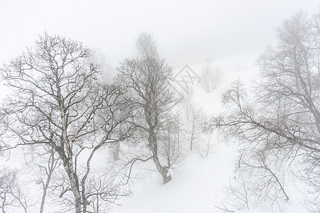 覆盖着高加索的雪山食物车站滑雪道路松树白色薄雾下雪运动全景图片