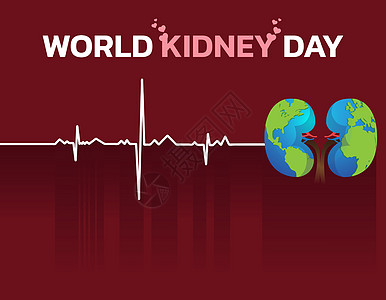 世界肾日图表保健科学动脉静脉涂鸦海浪阴影教育诊断图片