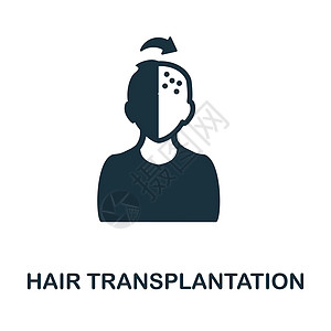 头发移植平面图标 移植收藏中的有色元素符号 用于网页设计 信息图表等的扁平头发移植图标标志图片