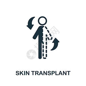 皮肤移植平面图标 移植收藏中的有色元素符号 平面皮肤移植图标标志 用于网页设计 信息图表等图片