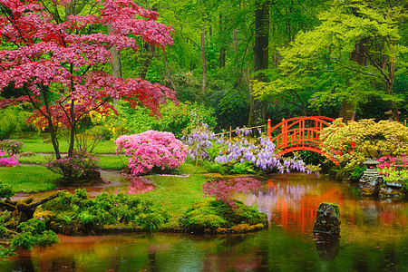 日式花园 荷兰海牙Clingendael公园景点旅游花坛旅行庭园公园地标胜地禅意植物图片