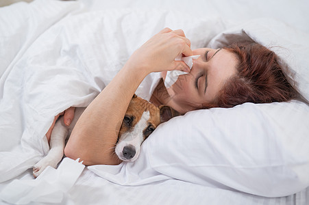 白种女人生病了 一个女孩在和杰克·罗素·泰瑞尔的狗躺在床上时 用餐巾纸打鼻子图片