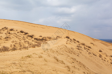 高加索一片独特的沙山 在阴云的一天自然旅游冒险旅行沙漠公园风景爬坡砂岩干旱图片