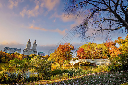 纽约市曼哈顿市中城的秋天中央公园天空地标花园旅行摩天大楼景观建筑学池塘季节绿色图片