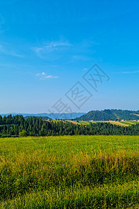 夏季山区绿地的景象 图示着一幅绿色景象图片