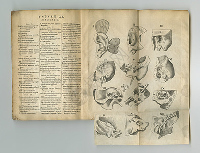 经典医学日记 一本旧的医学书 页码在展出上背景图片