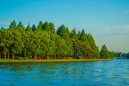 水本公园林和蓝天空森林天空水面蓝天池塘图片