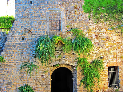 一座古老的欧洲城堡墙上的绿色植被 石墙上的灌木与城堡的大门 城堡废墟细节与窗口和格子的图片