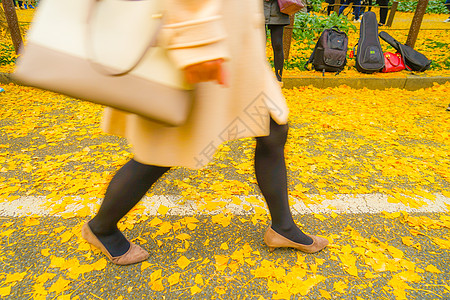 金古金吉千山银果和人脚落叶女士木头树木街景晴天黄叶蓝天叶子材料图片