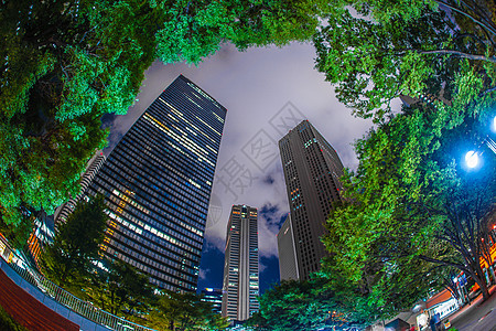 东京新宿高层建筑群的夜景之景街景绿色景观摩天大楼办公楼高层建筑群蓝天建筑建筑群城市图片