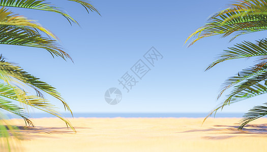 桑迪海滩 海边有棕榈图片