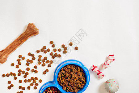 碗中的干宠物食物 白色背景顶视面上有球和狗骨图片