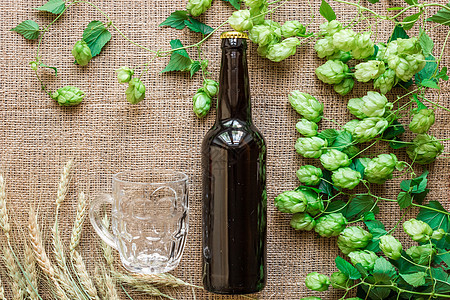 瓶装啤酒和玻璃啤酒 配有Brewing成分 花朵加小麦 顶级风景生活酒精草本植物植物啤酒厂乡村桌子篮子木头谷物图片