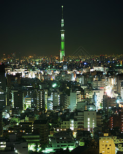 天树和东京市城市驾驶景点夜景旅游民中心乘用车景观车辆建筑群图片