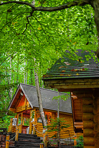 林中站立的Lodge图像长廊小屋森林浴财富九兆森林图片