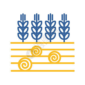 小麦大麦或黑麦的耳朵在田间 ico农业场地生长粮食种子食物干草植物面包谷物图片